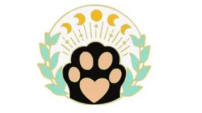 Pin Broche - enamel pin - kledingspeld - Sterren kat A