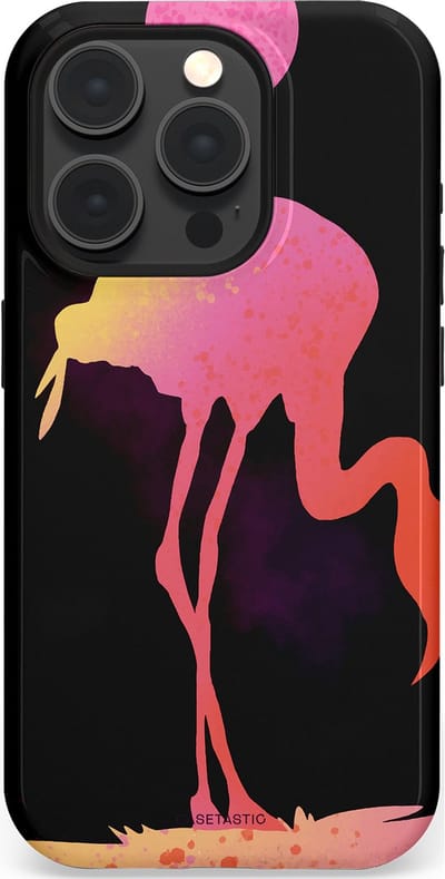 Casetastic Hoesje Geschikt voor Apple iPhone 15 Pro Magsafe - Stijlvolle Beschermende Duo-layer Case - Silhouet Flamingo