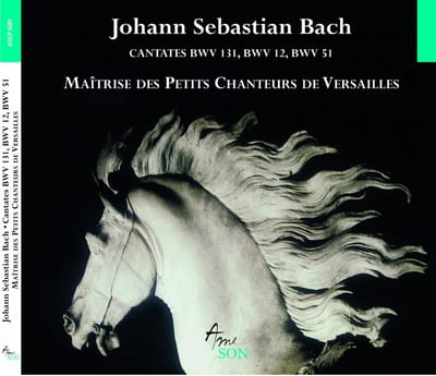 Maîtrise Des Petits Chanteurs De Versailles - J.S. Bach: Cantates Bwv 12, 51, 131 (CD)