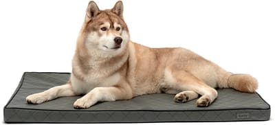 lionto Hondenmat orthopedisch, memory foam & antislip bodem 118x80 cm