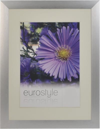 Desq 4902 | Fotolijst Aluminium | Sterk Helder Plexiglas | 21 x 29,7 cm
