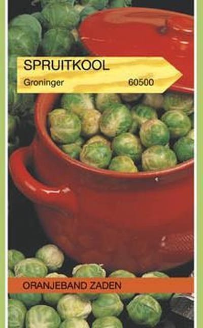 Spruitkool Groninger
