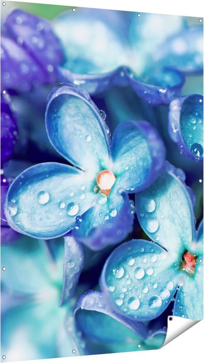 Gards Tuinposter Blauwe Lila Bloemen - Seringen - 120x180 cm - Tuindoek - Tuindecoratie - Wanddecoratie buiten - Tuinschilderij