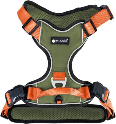 Petlando Hondentuig Olive- Orange met magnetische sluiting- maat S- 46 – 56 cm.