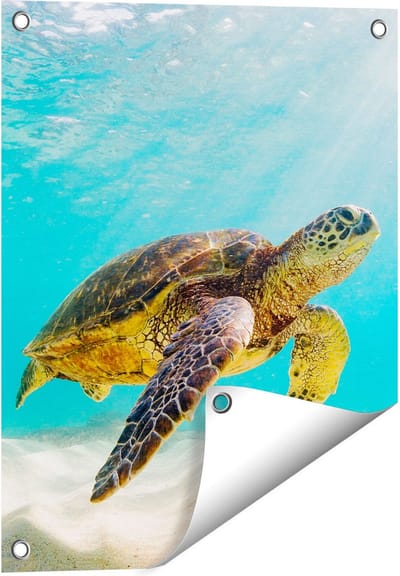 Gards Tuinposter Schildpad Zwemt in de Helder Blauwe Zee - 40x50 cm - Tuindoek - Tuindecoratie - Wanddecoratie buiten - Tuinschilderij