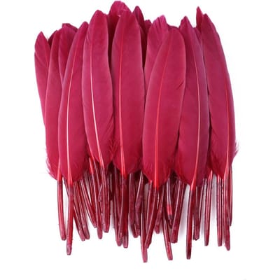 50/100/200 stuks Blauwe Ganzenveren Harde Schacht 4-6inch/10-15cm Echte Natuurlijke Zwanenveer Huis Decoratief Dromenvanger Handwerk 50Pieces