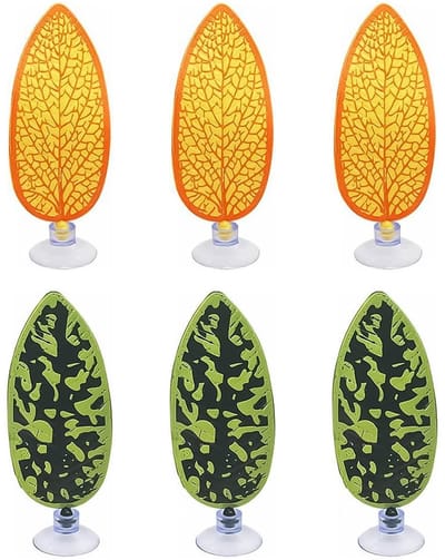 Dailygoods- Aquariumplanten Set - 6 Stuks Levend - Bladkussen/Hangmat - Veilig voor Bettavissen - Aquariumdecoratie - Duurzaam en Realistisch