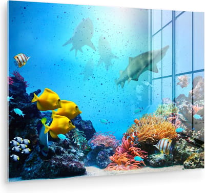 MuchoWow® Glasschilderij 80x60 cm - Schilderij acrylglas - Zee - Vissen - Kleuren - Foto op glas - Muurdecoratie woonkamer - Wanddecoratie slaapkamer - Schilderijen