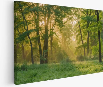 Saammp Muurcirkel Hout - 2 katten - Natuur - Dieren - Ø 90 - Wandcirkel - Wanddecoratie Cirkel - Muurdecoratie Woonkamer - Slaapkamer decoratie - Rond Schilderij