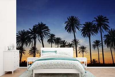 Behang - Fotobehang Palmboom - Natuur - Strand - Zon - Nacht - Breedte 600 cm x hoogte 400 cm