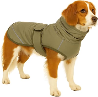 Hondenjas – Flamingo Cujo – honden jas – hondenjasjes winter – hondenjas waterdicht – 45 cm – A:45cm B:51cm C:58-60cm – groen