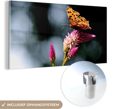 MuchoWow® Glasschilderij 40x20 cm - Schilderij acrylglas - Vlinder - Bloemen - Insecten - Foto op glas - Schilderijen