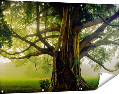Gards Tuinposter Grote Levensboom met Veel Takken - 120x80 cm - Tuindoek - Tuindecoratie - Wanddecoratie buiten - Tuinschilderij