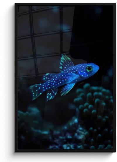 Poster in lijst - Fotolijst 80x120 cm - Posters - Vis - Stippen - Koraal - Blauw - Posterlijst zwart - Decoratie - Wanddecoratie woonkamer - Muurdecoratie slaapkamer