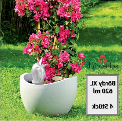 Waterreservoir - Plantenvoeding - Planten Water Geven - Gecontroleerde Afvoer - 620 ml - Champagne Parel
