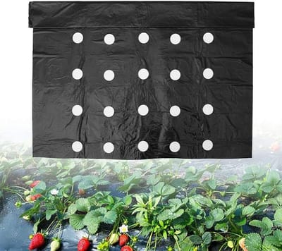 Onkruid Mulchdoek - Bodem Bedekking - Moestuin Bescherming - Vooraf Gemaakte Gaten - 10 x 0.95 Meter - Zwart