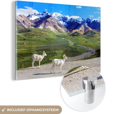 ® Glasschilderij 180x120 cm - Schilderij acrylglas - Dalschapen in het Nationaal park Denali in Noord Amerika met op de achtergrond een berglandschap - Foto op glas - Muurdecoratie woonkamer - Wanddecoratie slaapkamer - Schilderijen