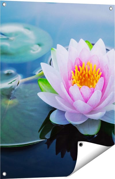 Gards Tuinposter Roze Lotusbloem met Waterlelies - 60x80 cm - Tuindoek - Tuindecoratie - Wanddecoratie buiten - Tuinschilderij