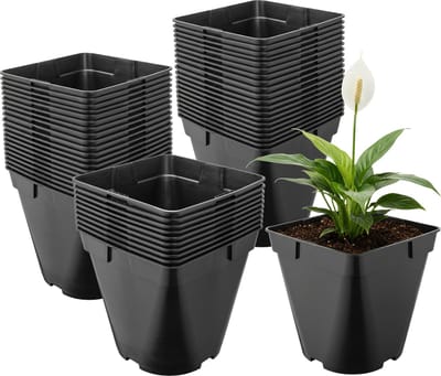 Garronda Set van 50 afgeronde vierkante kunststof kweekpotten met drainagegaten voor tuin (Zwart, 18 x 18 x 18 cm (4L)) GD-KW-SR