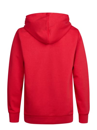 Petrol Industries - Jongens Artwork hoodie Wenatchee - Rood - Maat 128