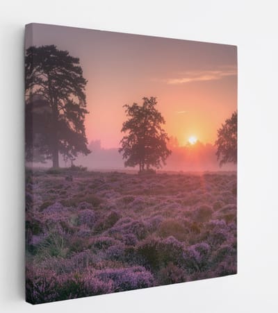 Saammp Canvas Schilderij - Lavendelveld met bomen en zonsondergang - Zonsondergang - Landschap - Natuur - 20x20 - Foto op canvas - Wanddecoratie - Muurdecoratie Woonkamer - Slaapkamer decoratie - Canvas Print