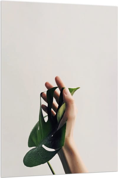 Acrylglas - Blad - Tropisch - Hand - Aanraking - 100x150 cm Foto op Acrylglas (Met Ophangsysteem)