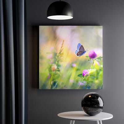 Artaza Canvas Schilderij Klaverbloem - 30x30 cm - Klein - Wanddecoratie Vlinder - Muurdecoratie Natuur - Schilderijen Op Canvas