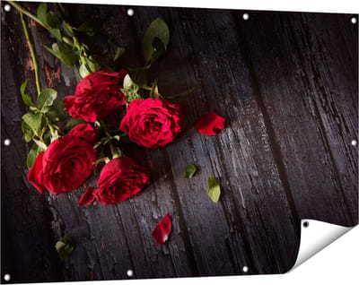 Gards Tuinposter Rode Rozen op de Grond - 120x80 cm - Tuindoek - Tuindecoratie - Wanddecoratie buiten - Tuinschilderij