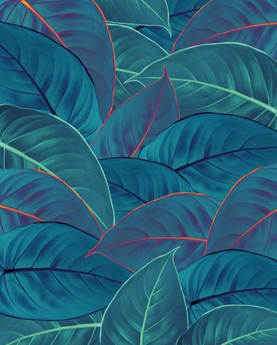 Komar Pure | foliage | bladeren | fotobehang op vlies 200x250cm