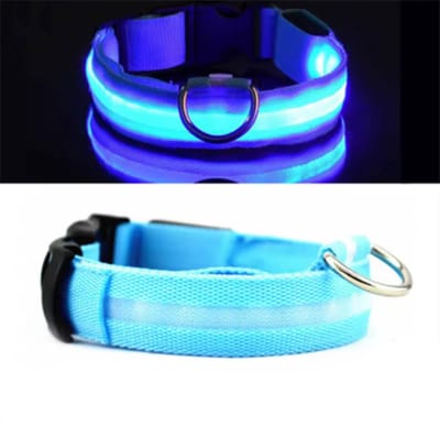 Halsband met verlichting - LED-Halsband - Lichtgevende Honden halsband - Halsband - Blauw - S - 34/41 cm - Dierenband - Collar - Blauwe halsband - Hippe halsband voor de hond - CHPN