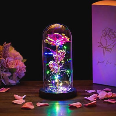 Roos in glazen koepel met LED-verlichting - Eeuwige kristal roos als romantisch cadeau voor haar