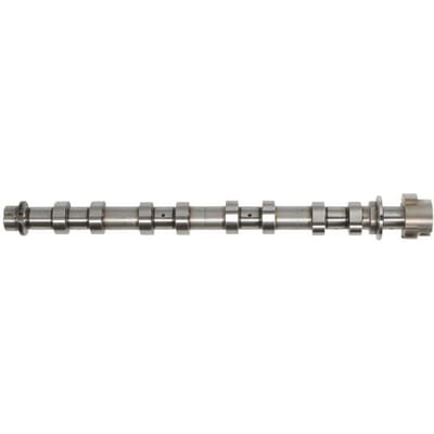 Nokkenas  FRECCIA CM05-2377