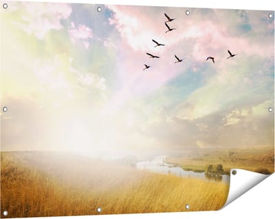 Gards Tuinposter Groep Vogels Vliegen Boven het Gras - 120x80 cm - Tuindoek - Tuindecoratie - Wanddecoratie buiten - Tuinschilderij
