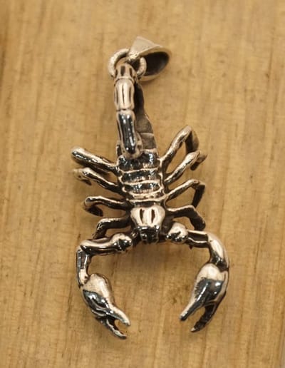 Sterling zilveren hanger schorpioen - scorpio hanger 925 zilver - schorpioens hangers van zilver - gevaarlijke wilde dieren hanger voor aan ketting - prachtige zilveren schorpioen hanger - mooie dames of heren zilveren hanger van een Scorpio