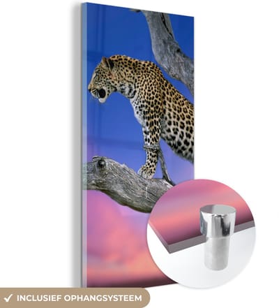 MuchoWow® Glasschilderij 20x40 cm - Schilderij acrylglas - Luipaard - Boom - Tak - Foto op glas - Schilderijen