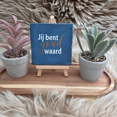 Robuust Wenstegeltje Jij Bent Goud Waard – Hip trendy tegeltje – Cadeau voor Vriendin, Juf, Zorgheld of Collega – Zomaar – Trendy nu – Deco – Stijlvolle Wanddecoratie
