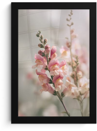 Poster in lijst - Fotolijst 20x30 cm - Posters - Bloem - Leeuwenbek - Roze - Stengel - Posterlijst zwart - Decoratie - Wanddecoratie woonkamer - Muurdecoratie slaapkamer
