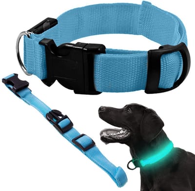 Led Halsband Hond - Blauw - 3 Standen - Verstelbaar 36 - 59 cm