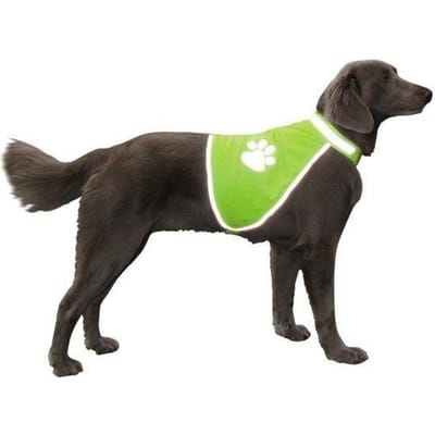Nobby veiligheidsvest reflecterend geel borst 64 - 81 cm hals 48 - 62 cm - 1 st
