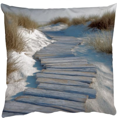 Sierkussens - Kussentjes Woonkamer - 50x50 cm - Pad - Planken - Duinen - Gras