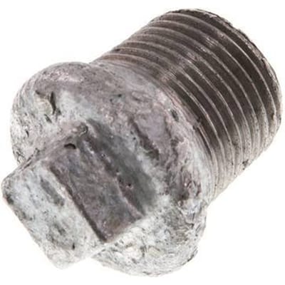 Plug R3/8'' Smeedbaar Gietijzer met Buitenvierkant 25bar [10 Stuks]
