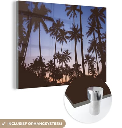 MuchoWow® Glasschilderij 40x30 cm - Schilderij acrylglas - Palmboom - Tropisch - Zomer - Lucht - Foto op glas - Schilderijen