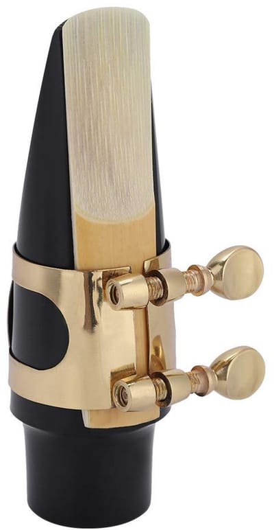 Dailygoods- Sax Mondstuk Set 5 in 1 - ABS Mondstuk - Metalen Gesp - Duurzaam Riet - Sax Accessoire - Hoogwaardig Materiaal - Saxofoonmondstuk