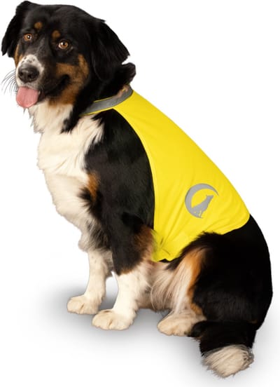Nightwalk Safety Vest - Ruglengte 45 cm - Veiligheidsvest hond - Hondenvest - Veiligheidshesje Hond - Fluo Hond - Reflecterend veiligheidshesje - Maat L - Geel