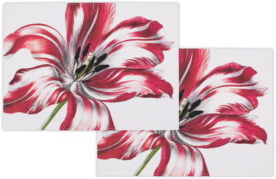 Lanzfeld MuseumEditions - Katoenen Placemats - Set van 2 - Placemat - Kunst - Museum Kwaliteit - Merian Silbylla - Tulpen