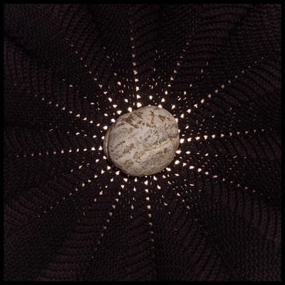 Nat Baldwin - In The Hollows (CD)
