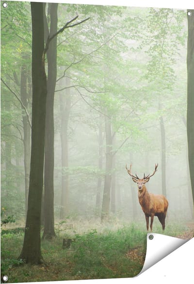 Gards Tuinposter Hert in Bos - 80x100 cm - Tuindoek - Tuindecoratie - Wanddecoratie buiten - Tuinschilderij
