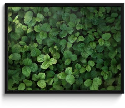 Poster in lijst - Fotolijst 80x60 cm - Posters - Groen - Bladeren - Kartel - Zonlicht - Posterlijst zwart - Decoratie - Wanddecoratie woonkamer - Muurdecoratie slaapkamer