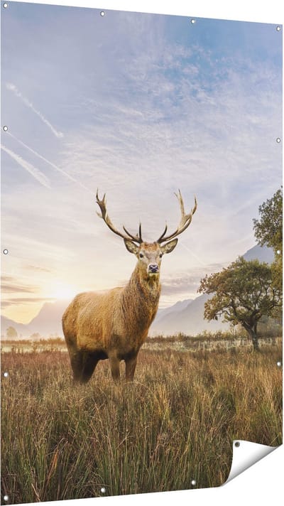 Gards Tuinposter Hert in het Landschap - 120x180 cm - Tuindoek - Tuindecoratie - Wanddecoratie buiten - Tuinschilderij