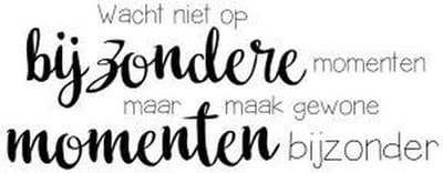 Nellie's Choice Stempel DutchSentiments - Maak gewone momenten bijzonder - sencs004